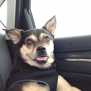 Meet your Posher, Kellsa